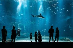 Loft 8 personnes à Wimille – Location près de Nausicaá et plages 13 Location près de Nausicaa