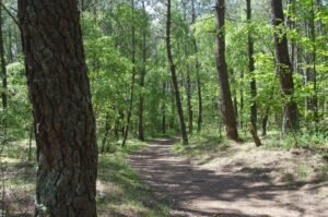 Loft 8 personnes à Wimille – Location près de Nausicaá et plages 28 randonnées